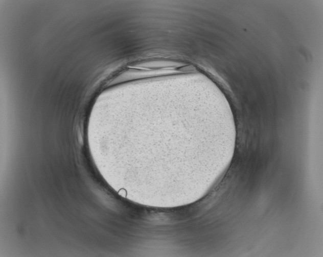X0000112810062200910021149