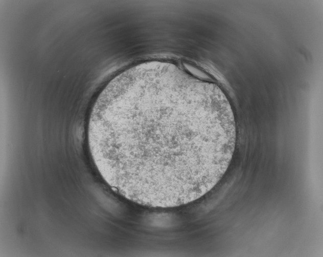 X0000112810063200910021149