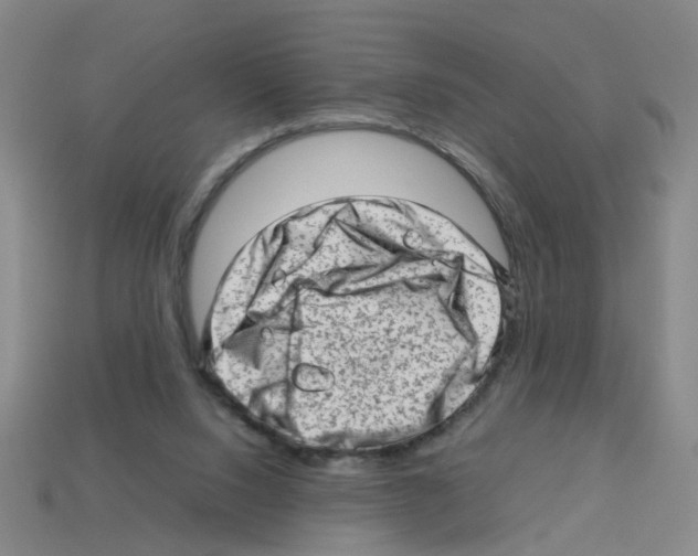 X0000112810064200910021149