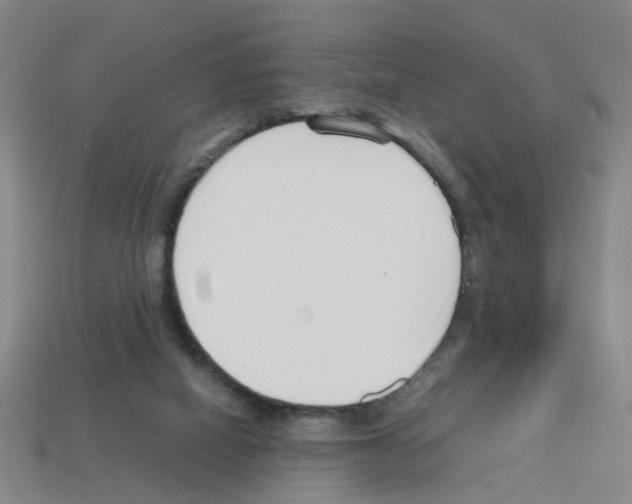 X0000112810066200910021149