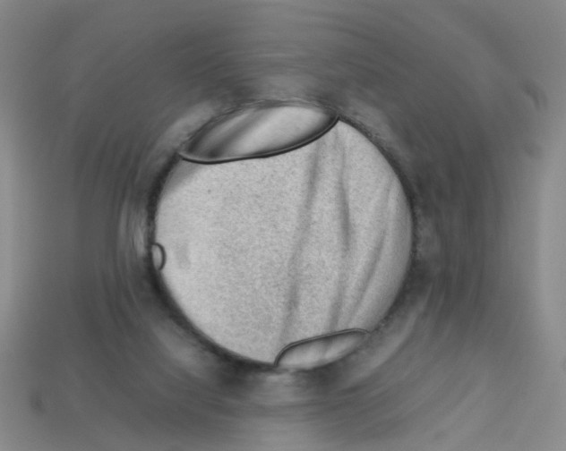 X0000112810068200910021149