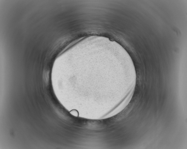 X0000112810070200910021149
