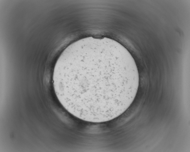 X0000112810072200910021149
