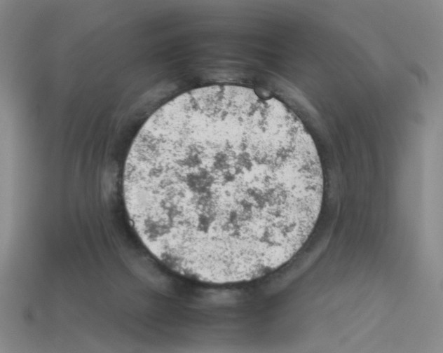 X0000112810073200910021149