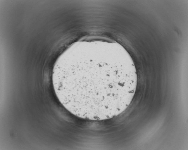 X0000112810074200910021150