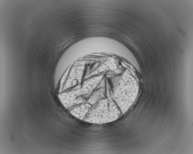 X0000112810076200910021150