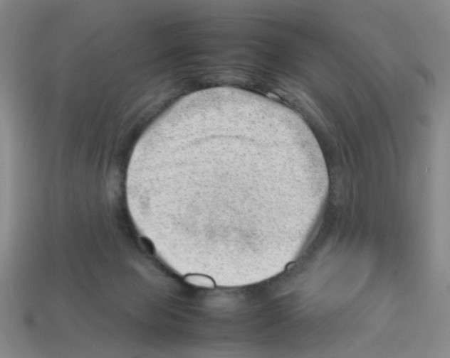 X0000112810077200910021150
