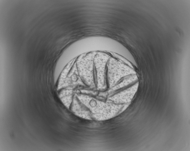 X0000112810080200910021150