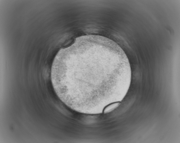 X0000112810081200910021150