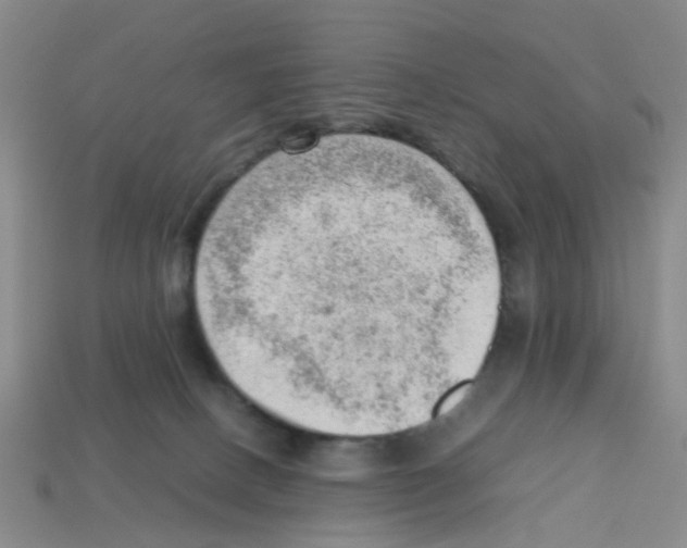X0000112810082200910021150