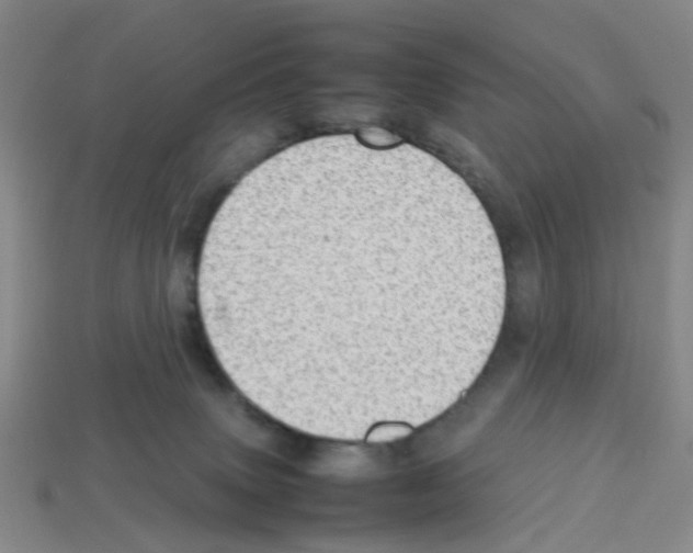 X0000112810083200910021150