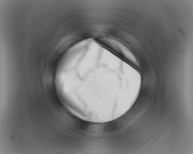X0000112810084200910021150