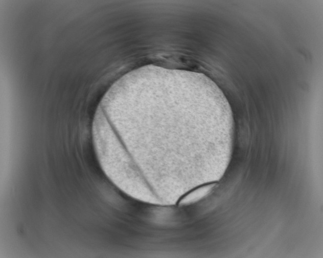 X0000112810085200910021150