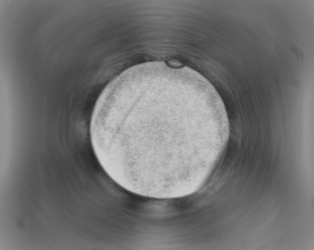 X0000112810086200910021150