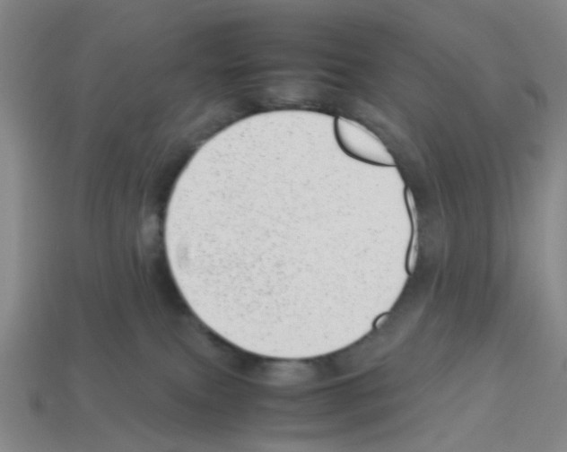 X0000112810087200910021150