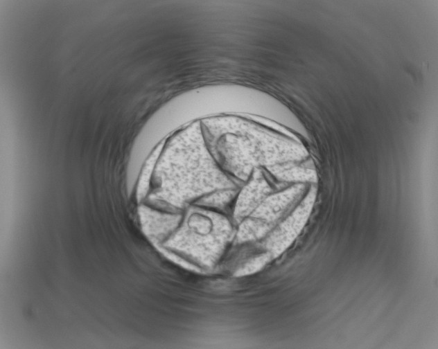 X0000112810088200910021150