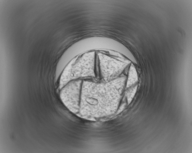 X0000112810092200910021150
