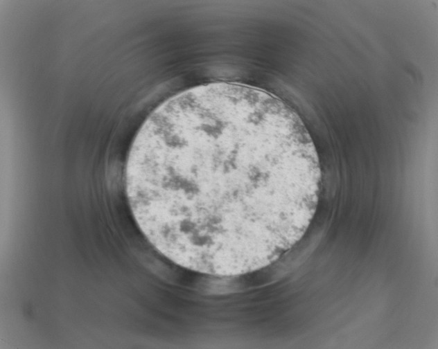 X0000112810093200910021150