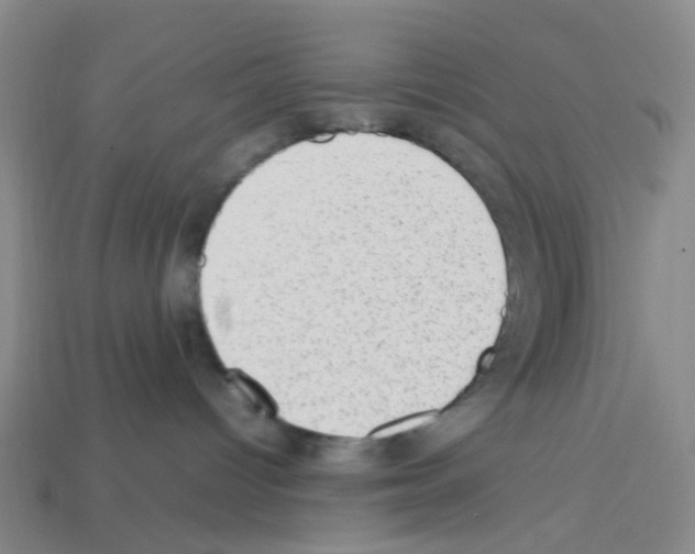 X0000112810096200910021150