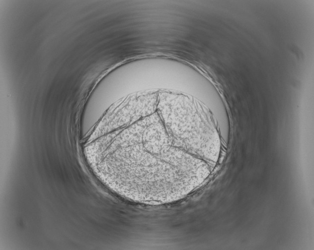 X0000112810097200910021149