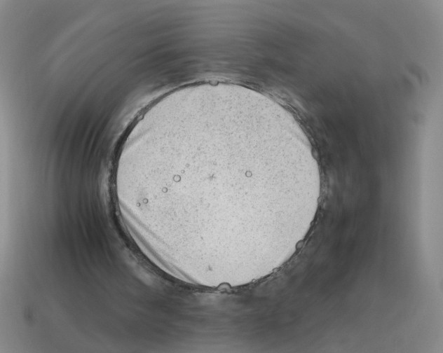 X0000112810098200910021149