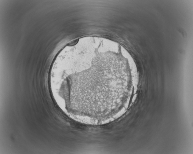 X0000112810099200910021149