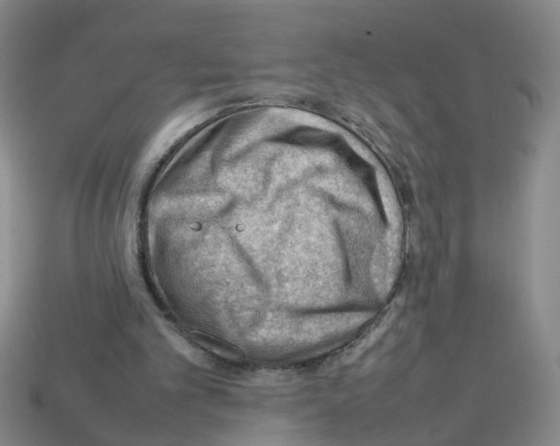X0000112810101200910021149