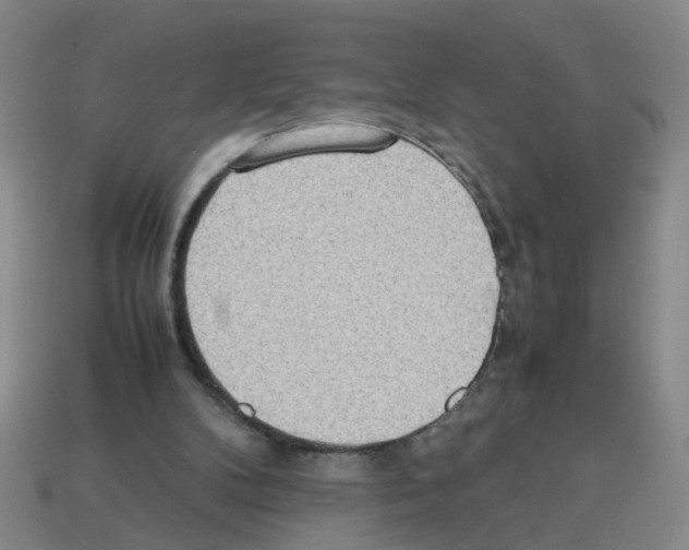 X0000112810104200910021149
