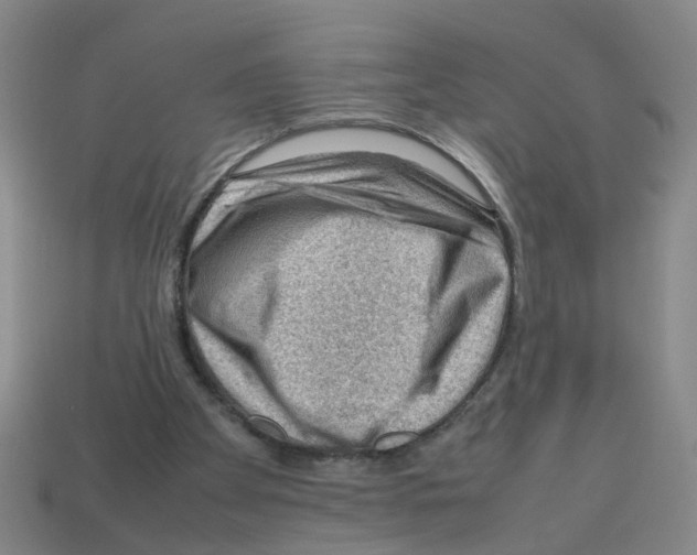X0000112810105200910021149