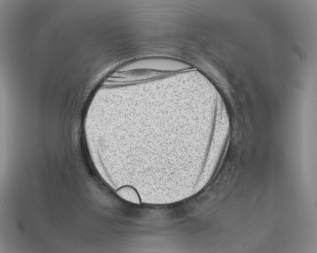 X0000112810107200910021149