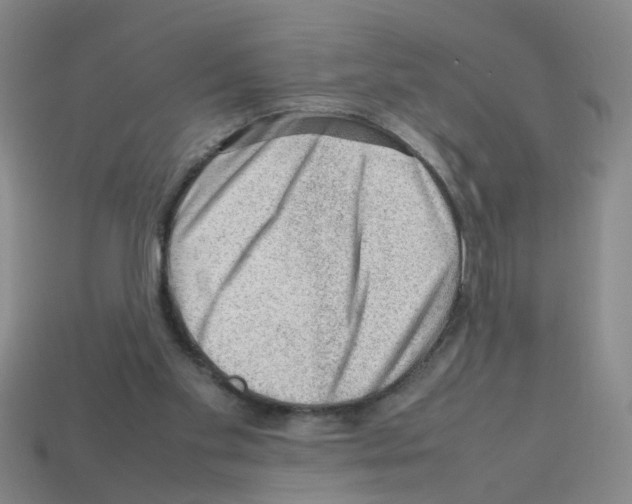 X0000112810109200910021149