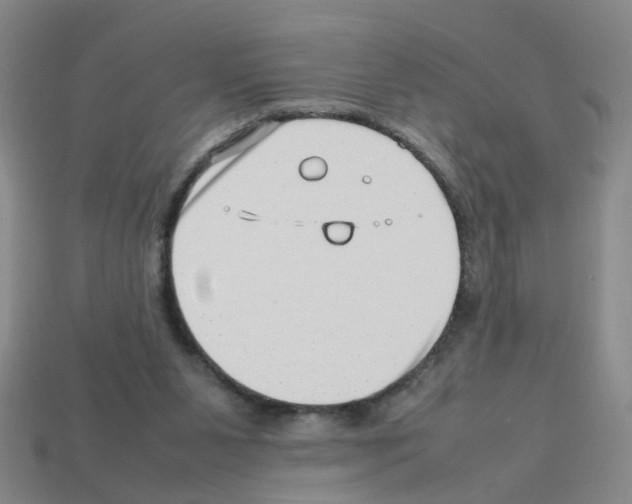 X0000112810111200910021149