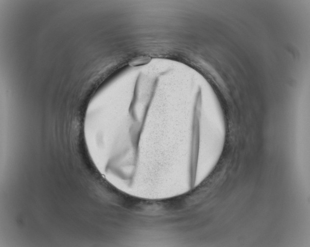 X0000112810113200910021149