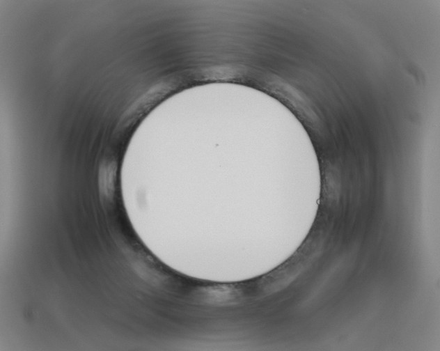 X0000112810118200910021149