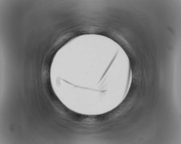 X0000112810119200910021149