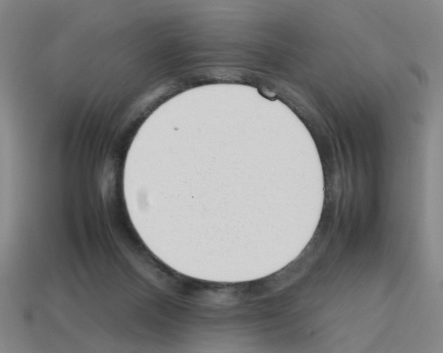 X0000112810120200910021149