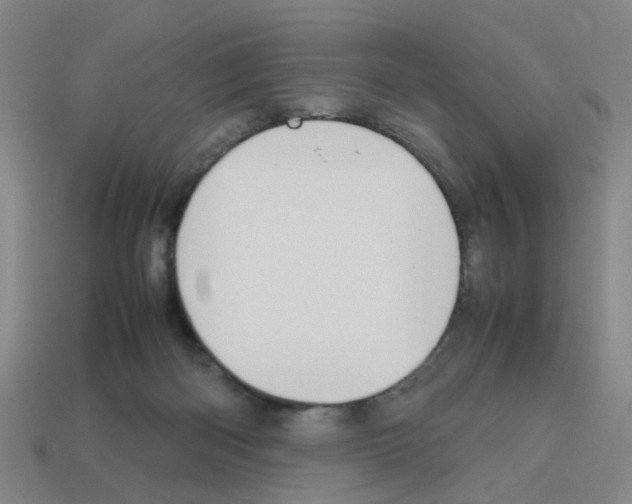 X0000112810122200910021149