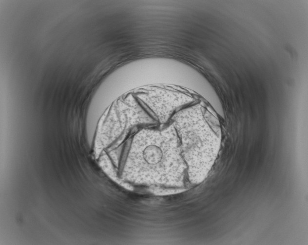 X0000112810124200910021149