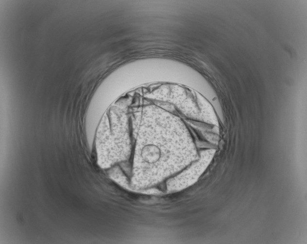 X0000112810125200910021149