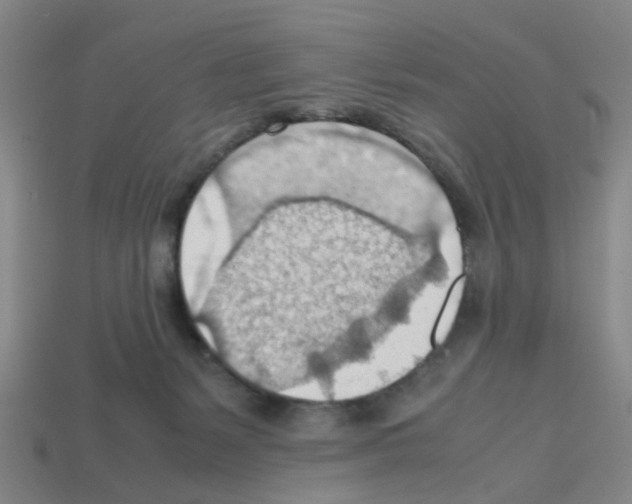 X0000112810127200910021149