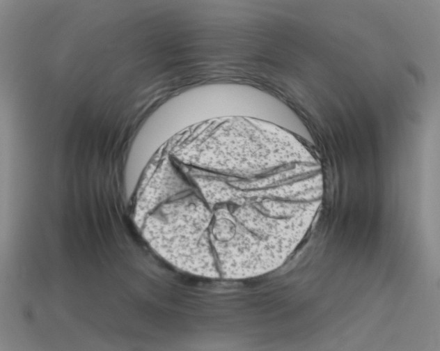 X0000112810128200910021149