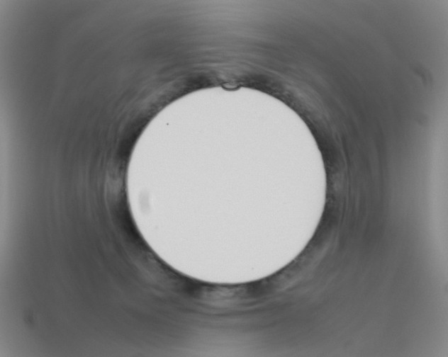 X0000112810129200910021149