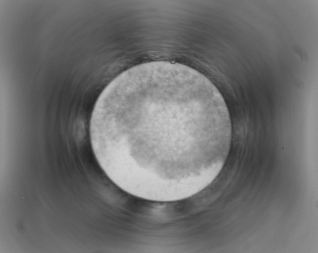X0000112810130200910021149