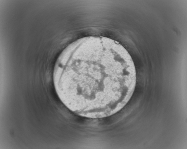 X0000112810131200910021149