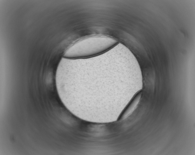X0000112810132200910021149