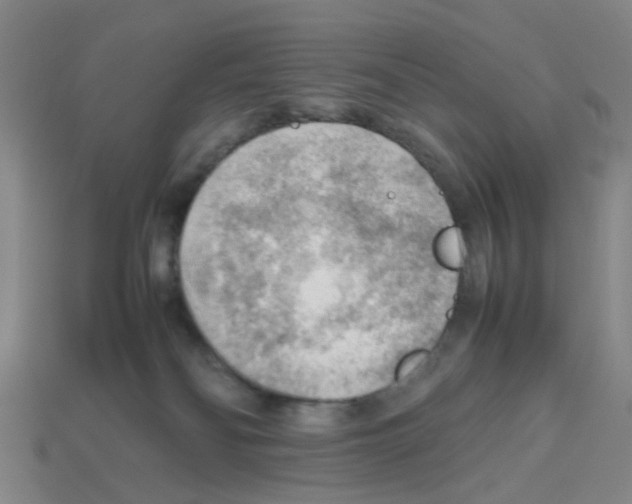 X0000112810134200910021149
