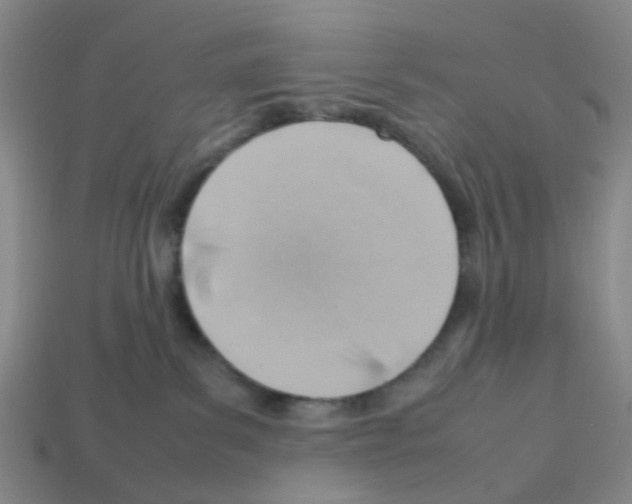 X0000112810139200910021149