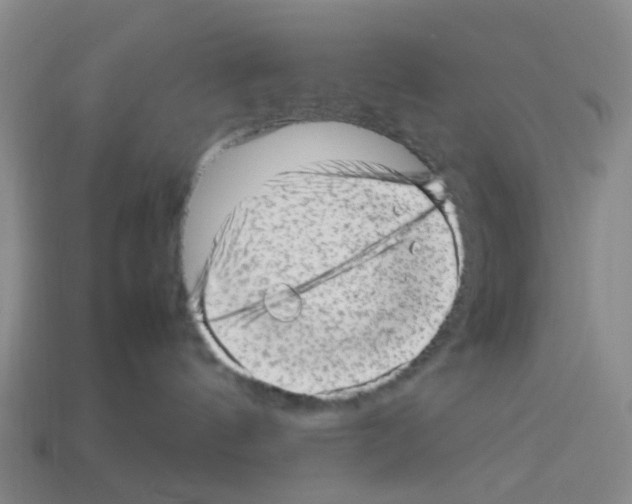 X0000112810144200910021149