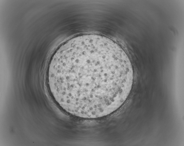 X0000112810145200910021148