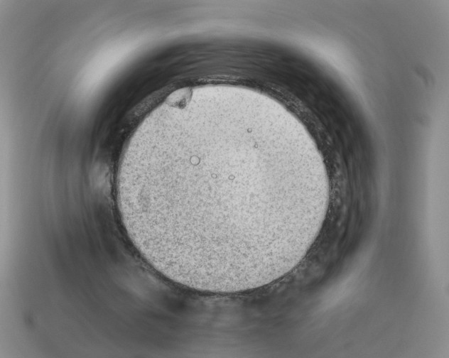 X0000112810146200910021148